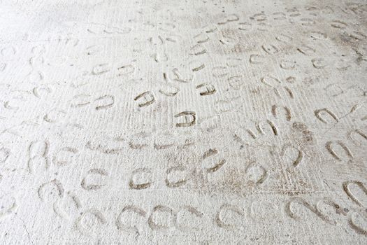 Soil with horseshoes signals, detail of a classic soil with horse mark, tracks and signs