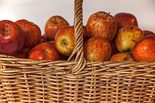 Still life image of a wicker basket filled with large red Starking apples on a blue background.