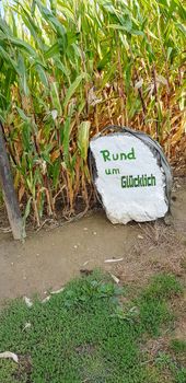 White-painted stone next to a hiking trail with inscription in German - Around Gesund