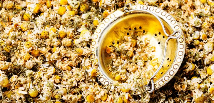 Dried chamomile flowers background.Medicinal herbs. Herbal medicine