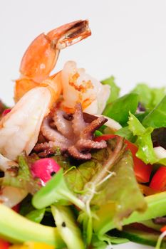 Seafood salad with fresh vegetables and herbs