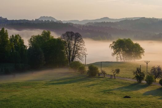 Autumn landscape with hills and forests in sunny morning mist