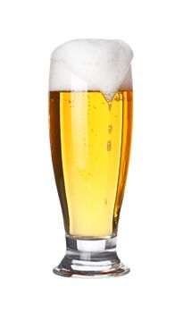 Close up one full high glass of lager beer with froth and bubbles isolated on white background, low angle side view