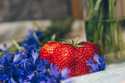 Seasonal summer flowers in vase blue cornflowers and fruits strawberries on a napkin close-up conceptual background