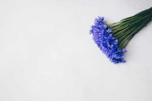 blue cornflowers bouquet, summer flowers on white background, floral background, beautiful small cornflowers close up flatlay