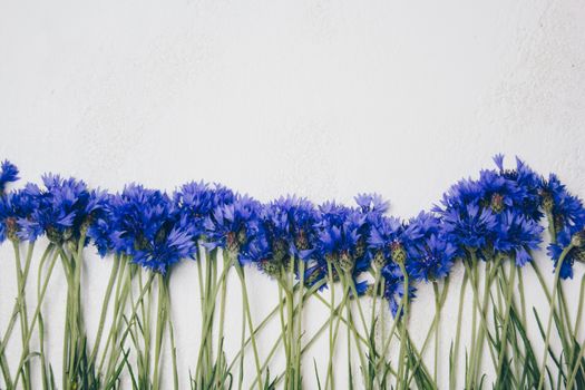 blue cornflowers bouquet, summer flowers on white background, floral background, beautiful small cornflowers close up flatlay