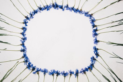 blue cornflowers bouquet, summer flowers on white background, floral background, beautiful small cornflowers close up flatlay