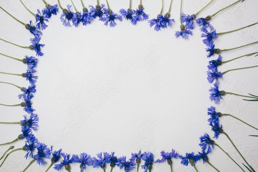 blue cornflowers bouquet, summer flowers on white background, floral background, beautiful small cornflowers close up flatlay