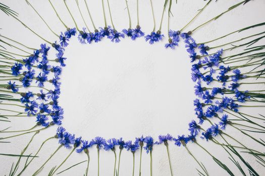blue cornflowers bouquet, summer flowers on white background, floral background, beautiful small cornflowers close up flatlay