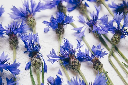 blue cornflowers bouquet, summer flowers on white background, floral background, beautiful small cornflowers close up flatlay