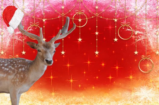 Merry christmas a reindeer with a santa claus hat on his antlers isolated on a beautiful decorated background