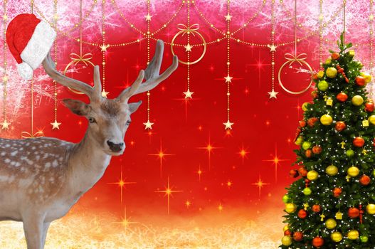 Merry Christmas a deer with a santa claus bonnet on his antlers and a decorated christmas tree isolated on a beautiful christmas background with stars