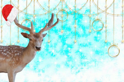 Merry christmas a reindeer with a santa claus bonnet on his antlers isolated on a beautiful blue background with stars and snow crystals