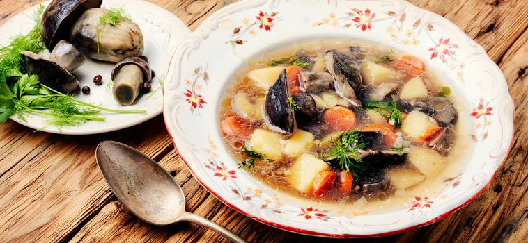 Diet vegetarian soup with forest mushrooms in bowl