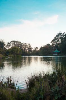 Lake on the park of Long Beach, California. California is known with a good wether located in United States. 