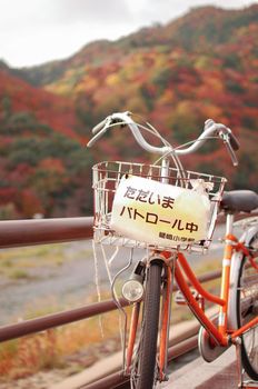 Bicycle on the parol. Fall is very colorful season of Japan. Fall Season of Kyoto is very good timing to see Japan. 