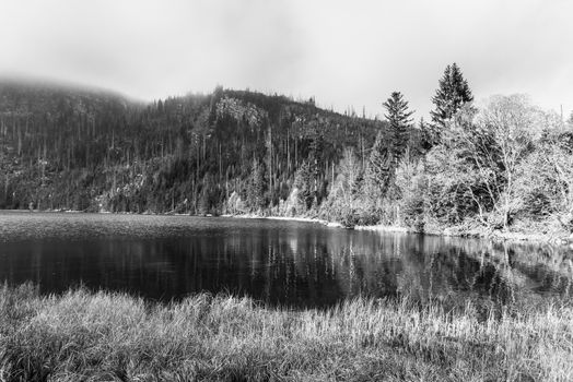 Plesne Lake and Plechy Mountain in autumn. Sumava National Park, Czech Republic. Black and white image.