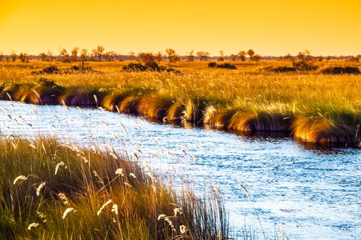 Romantic sunset at african river. Evening in Africa.