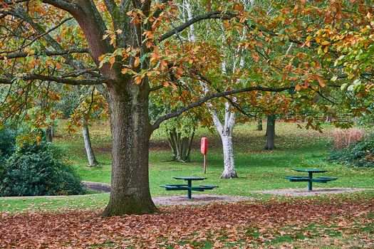 Autumn in Grove Park, a public park in Birmingham