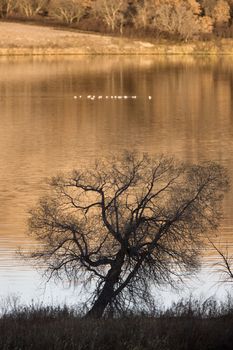 Saskatchewan Lake in Autumn Buffalo Pound Canada