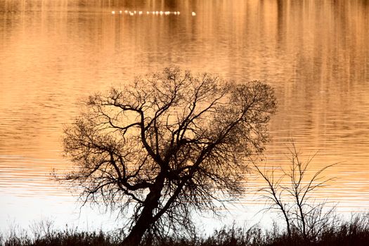 Saskatchewan Lake in Autumn Buffalo Pound Canada