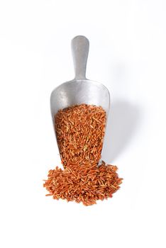 Grains of Camargue red rice in a scoop