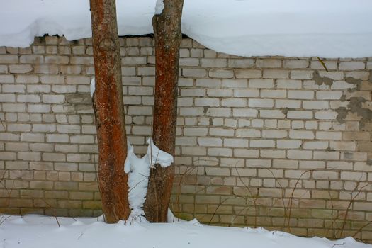 white brick wall in the winter in Cesis, Latvia.