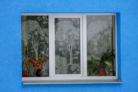 Fragment of colorful house, white window and blue wall.