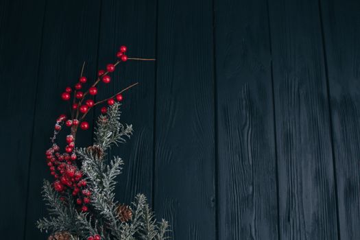 Christmas composition. Fir branches needles and berries of viburnum on a black background. New Year's composition