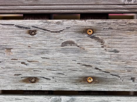 Old wood texture with the woodworm holes