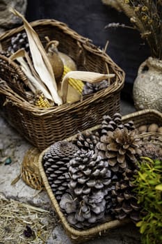 Fresh corn in wicker baskets, cereal detail