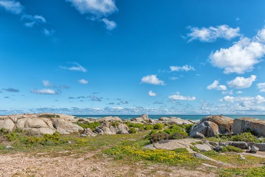 Plankiesbaai at Postberg near Langebaan on the Atlantic Ocean coast of the Western Cape Province
