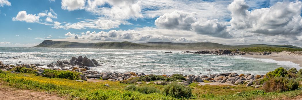 Plankiesbaai at Postberg near Langebaan on the Atlantic Ocean coast of the Western Cape Province