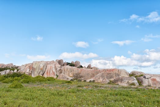 Wildflowers and a rock formation at Postberg near Langebaan on the Atlantic Ocean coast of the Western Cape Province
