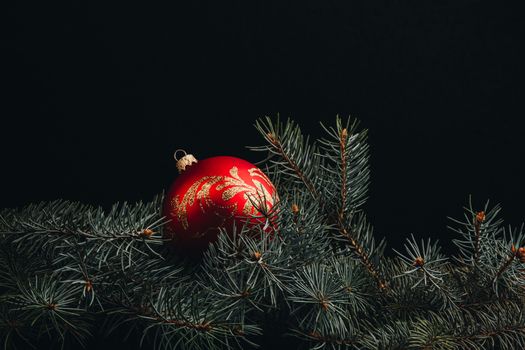 Christmas fir tree branches on wooden table. New year Christmas background with copy space. Greeting card.