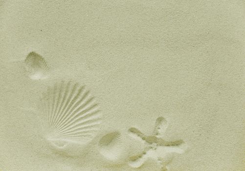 Beautiful background: Scallop shells and starfish imprint on clean sea sand, with space for text