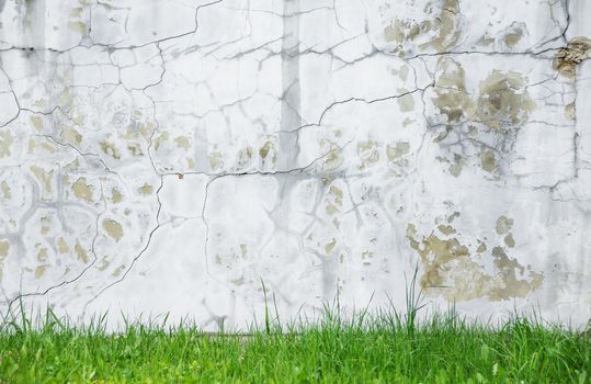 Background of gray crannied wall covered with rough flaking plaster with a border of the green grass at the bottom