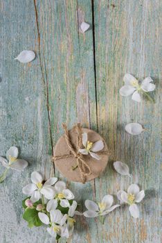 Beautiful vintage background from old blue boards, white spring flowers and gift box, with copy-space