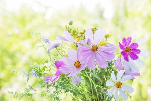 Beautiful multicolored bouquet of wildflowers on a blurred natural background