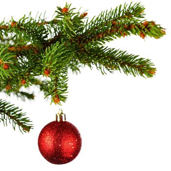 Christmas tree branch with decoration ball isolated on white