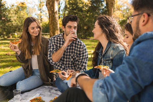 Friends in the park making a picnic 