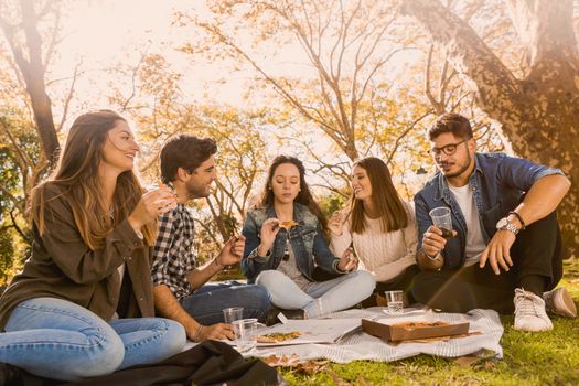 Friends in the park making a picnic 