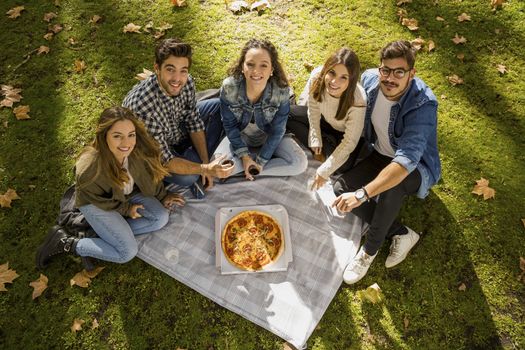 Friends at the park making a picnic