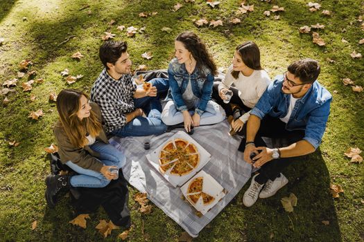 Friends at the park making a picnic