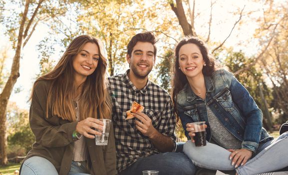 Friends in the park making a picnic 