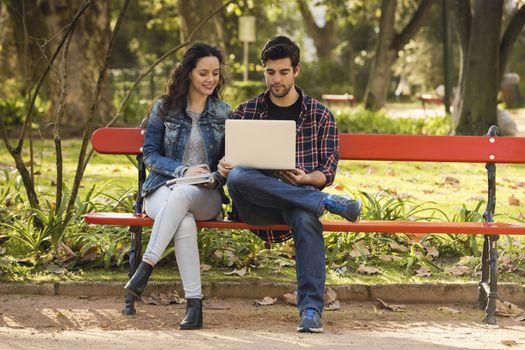 Friends studying tohether in the park