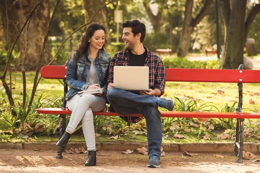 Friends studying tohether in the park