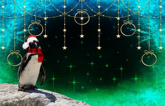 merry christmas a funny penguin wearing a scarf and santa claus bonnet isolated on a decorated background with stars and frozen snow flakes