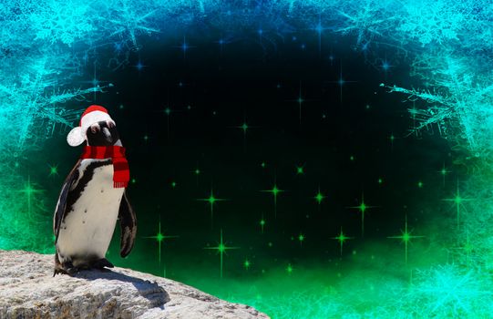 Merry christmas a funny penguin dressed in a shawl and santa claus bonnet isolated on a frozen background with snow flakes and stars