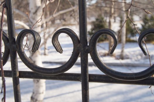 Beautiful decorative cast iron wrought iron fence with artistic forging, close - up on snow background.